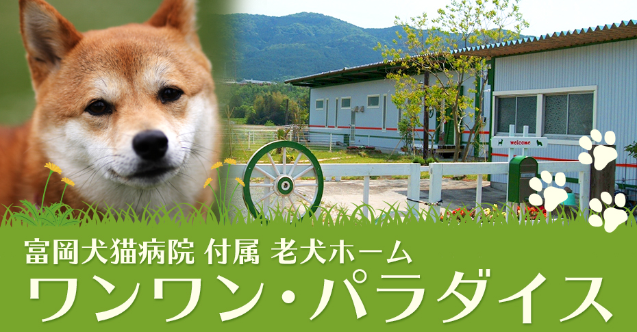 富岡犬猫病院 付属 老犬ホーム ワンワン・パラダイス