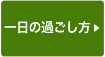 一日の過ごし方